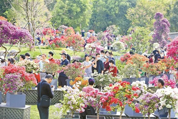 秋季花展,打造世界著名花城:两大公园花展正在进行,带你进入深圳最美