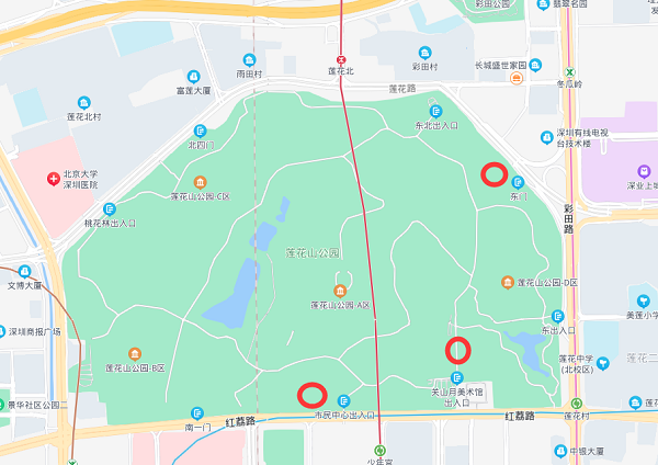 深圳荔枝公园地图图片