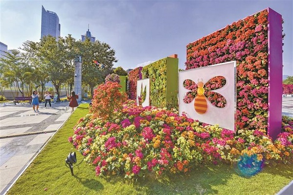 深圳花卉展图片