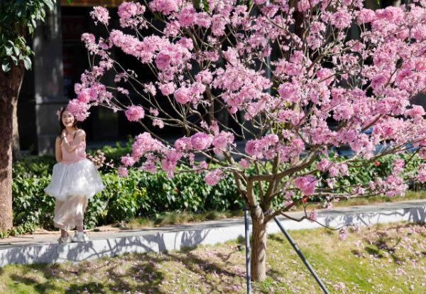 鲁力 摄  南方+ 朱洪波 拍摄