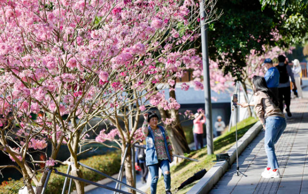 鲁力 摄  南方+ 朱洪波 拍摄