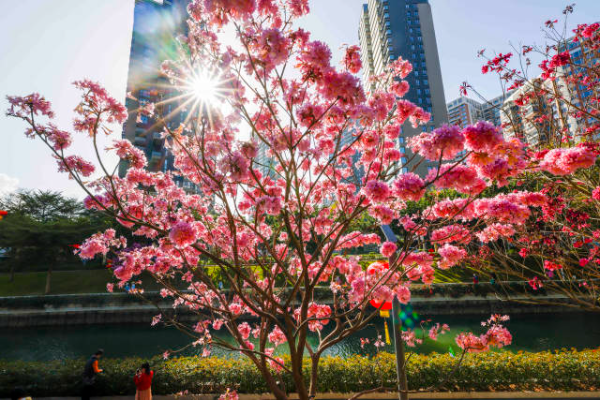 鲁力 摄  南方+ 朱洪波 拍摄