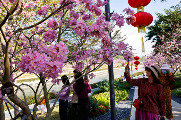 鲁力 摄  南方+ 朱洪波 拍摄