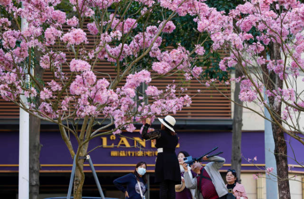 鲁力 摄  南方+ 朱洪波 拍摄