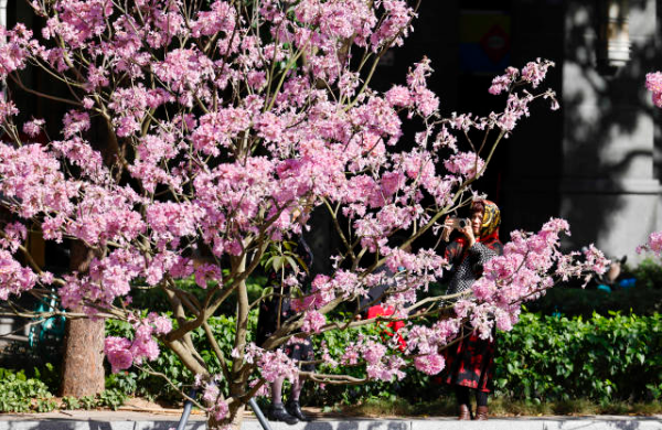 鲁力 摄  南方+ 朱洪波 拍摄