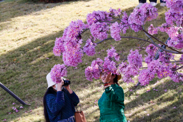 鲁力 摄  南方+ 朱洪波 拍摄