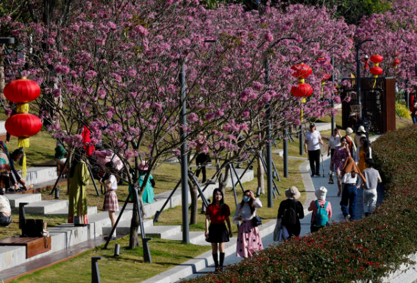 鲁力 摄  南方+ 朱洪波 拍摄
