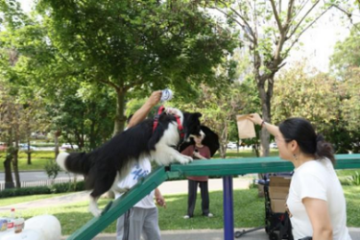 已编辑图片