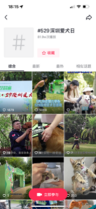 图片13.png