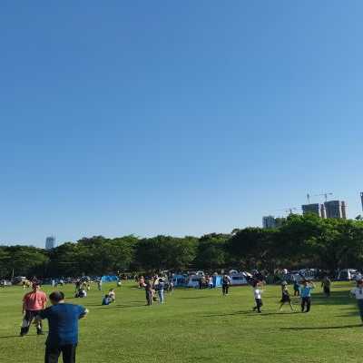 大沙河公园