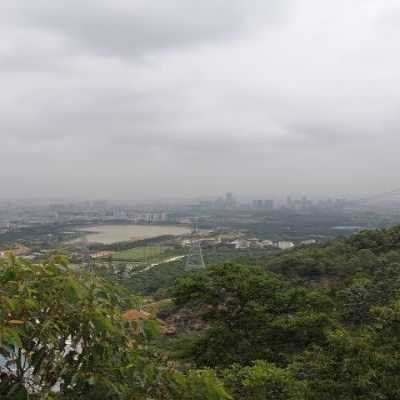 五指耙森林公园