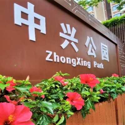中兴公园