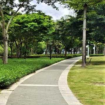 桂花路都市公园