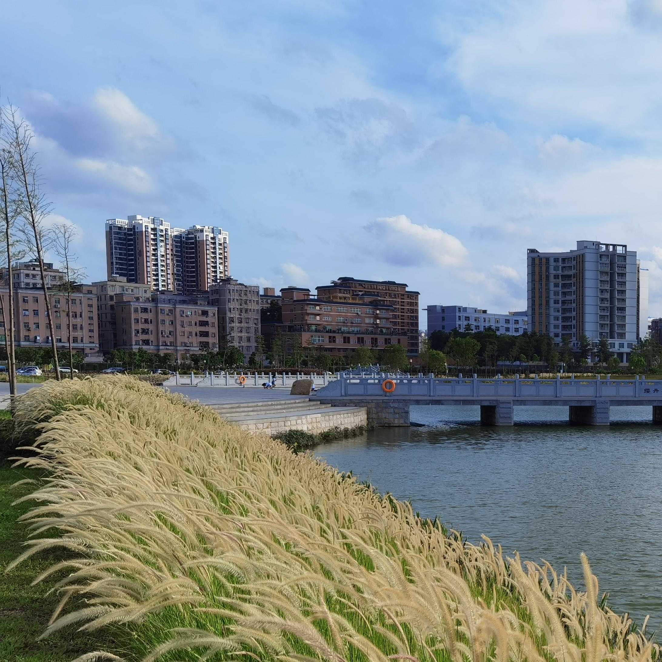 石岩湖濕地公園