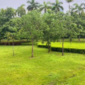 Julongshan Wetland Park