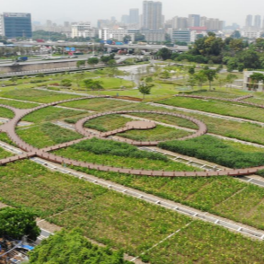 樓村濕地公園