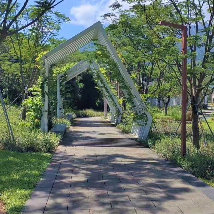 東湧紅樹林濕地園