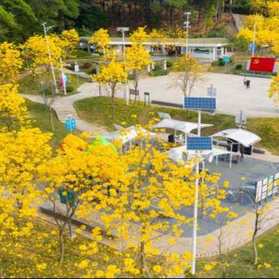 Pat Sin Leng Park