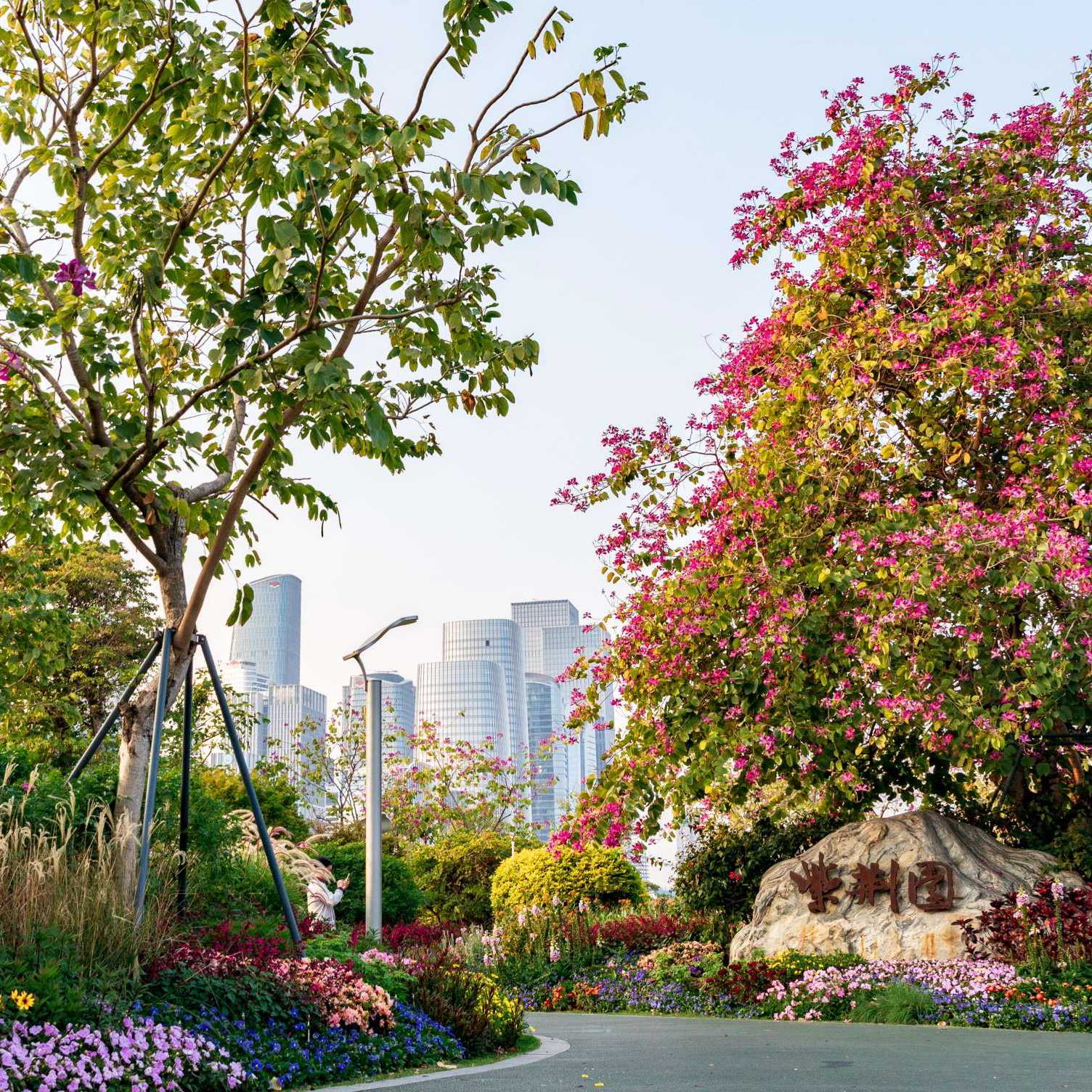 Bauhinia Garden