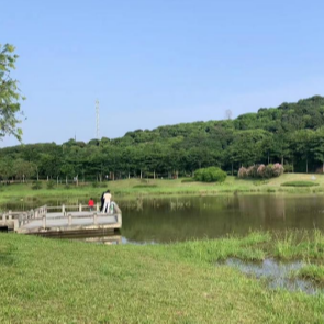 新陂頭南濕地公園