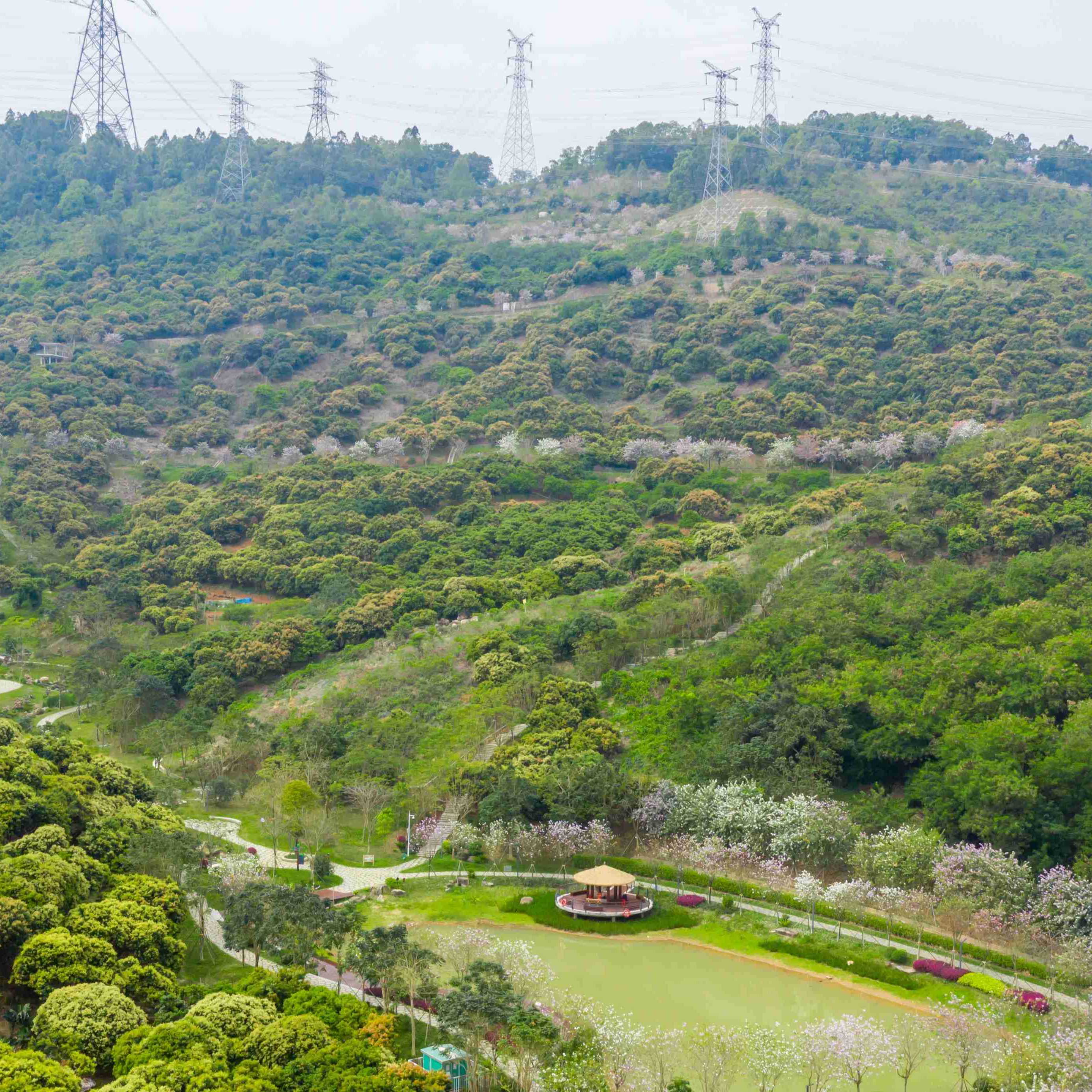 大雁山森林公園