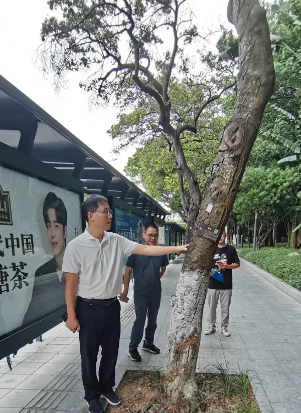 图片13.png