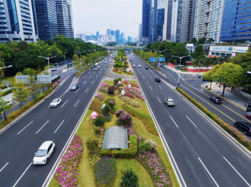 深圳以深南大道等重点区域为核心，通过花卉布置与精细化养护着力扮靓“城市客厅”。