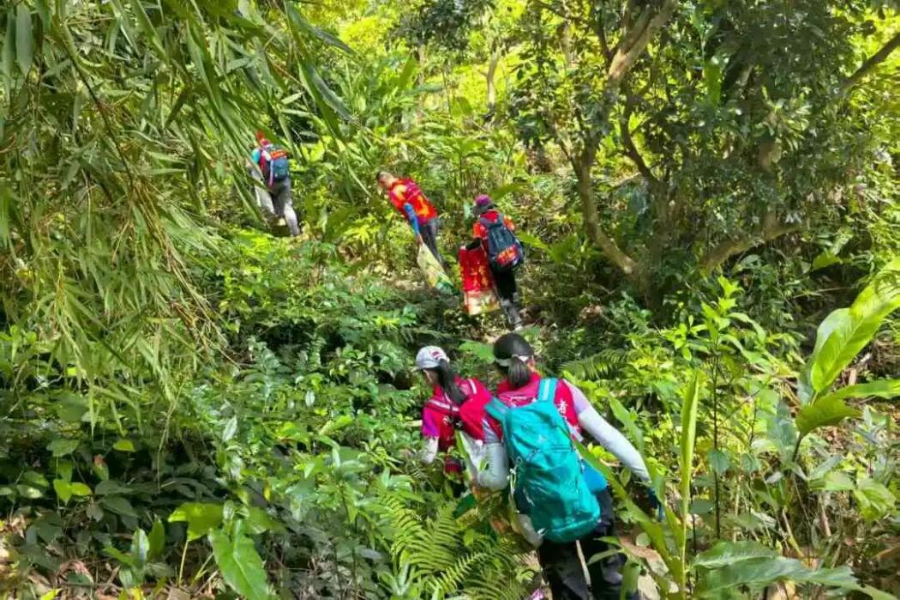 志愿守护山野，阳台山“爱心线”清野行...
