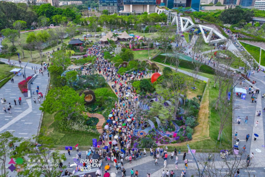 2026粤港澳大湾区花展圆满落幕——“公园+商圈”引爆赏花经济,APEC“中国年”绽放深圳春意